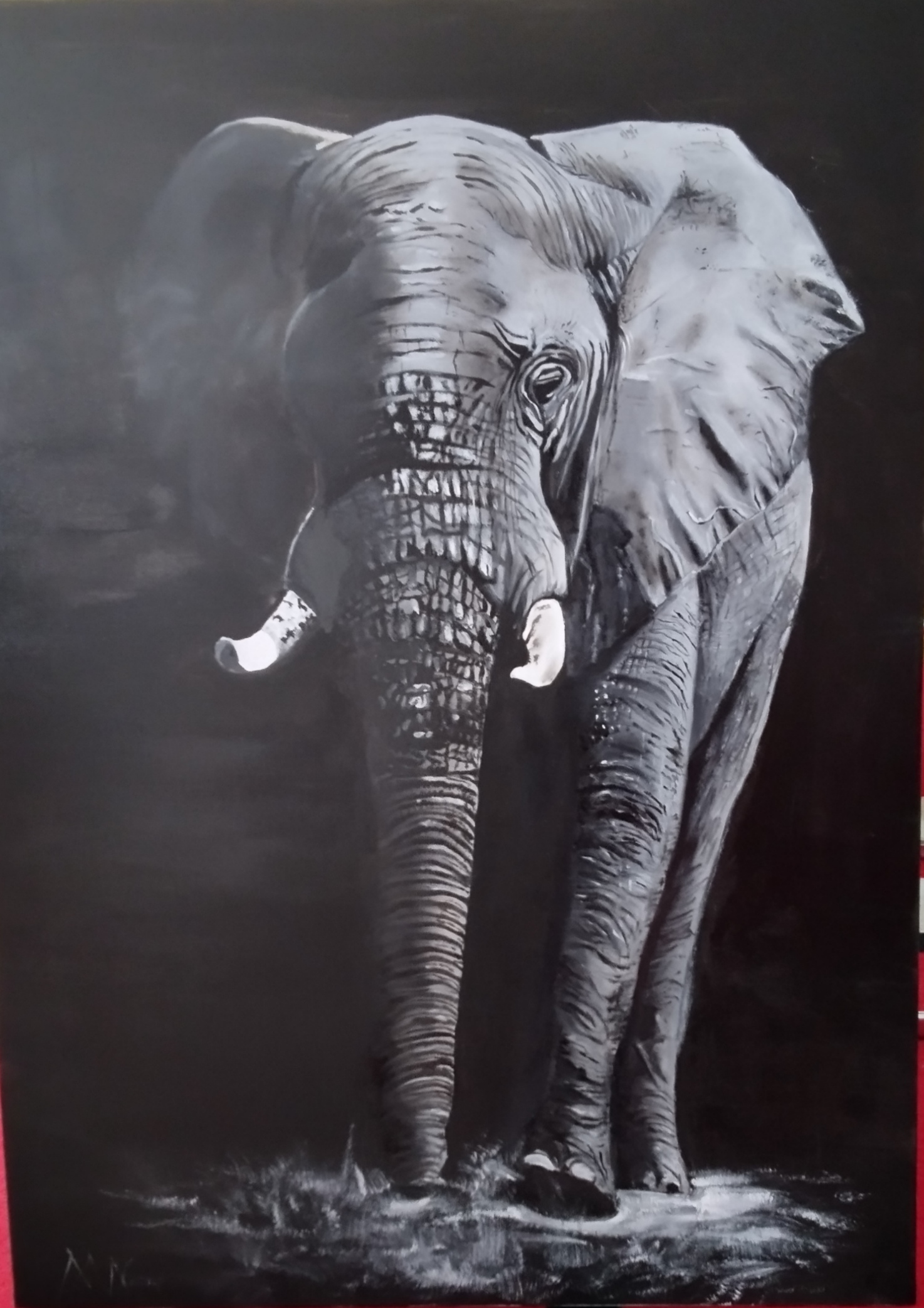 Thème Animaux